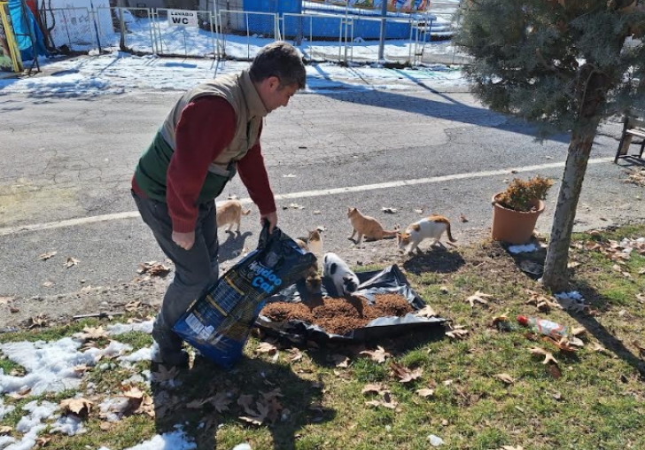 Bykehir Belediyesi Sokak Hayvanlarn Unutmad