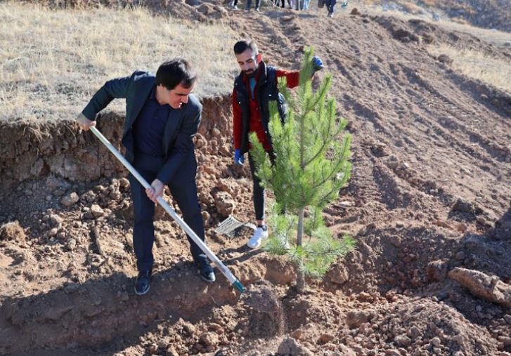 Mevsimlik iler Adna Hatra Orman Oluturuldu